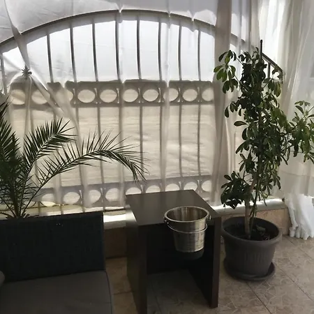 White Rose Guest 2*