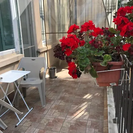 White Rose Guest Hotell