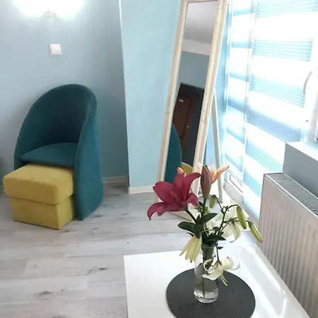 White Rose Guest Hotell 2*