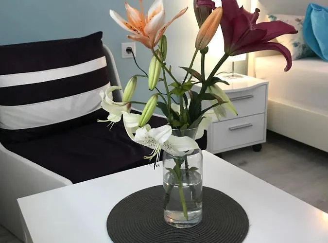 Hotell White Rose Guest 2*