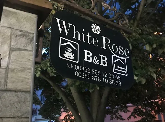 White Rose Guest Hotell Burgas