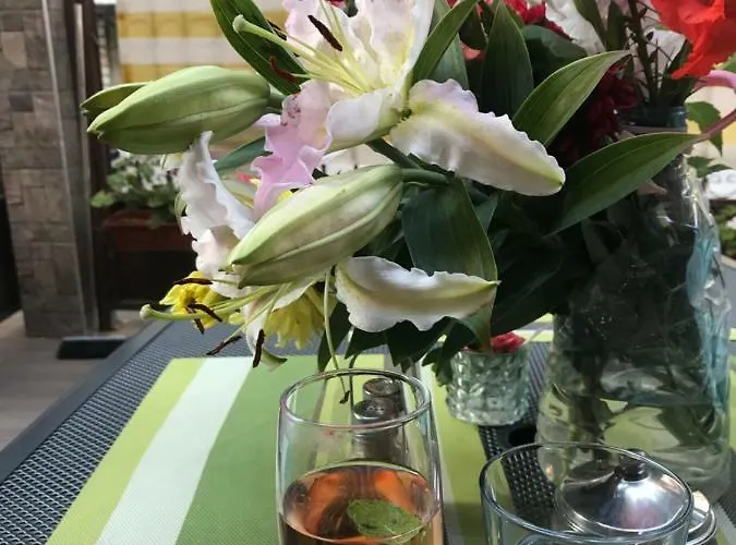 White Rose Guest 2* Burgas