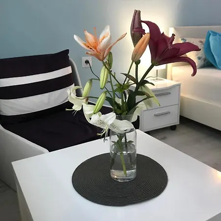 Ξενοδοχείο White Rose Guest 2*