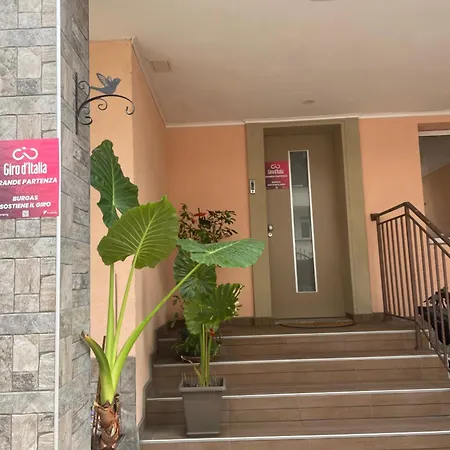Otel White Rose Guest