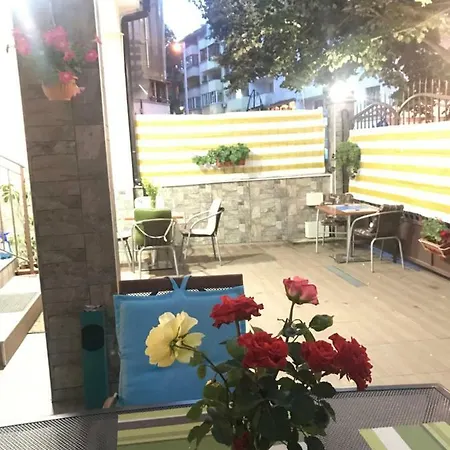 White Rose Guest Μπουργκάς