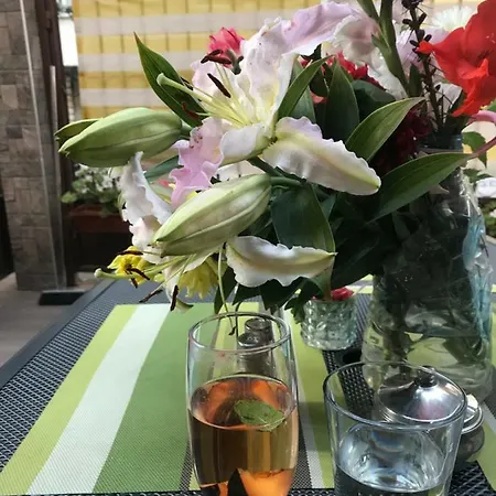 White Rose Guest 2* Burgas