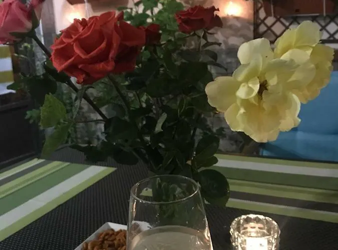 White Rose Guest Хотел 2*